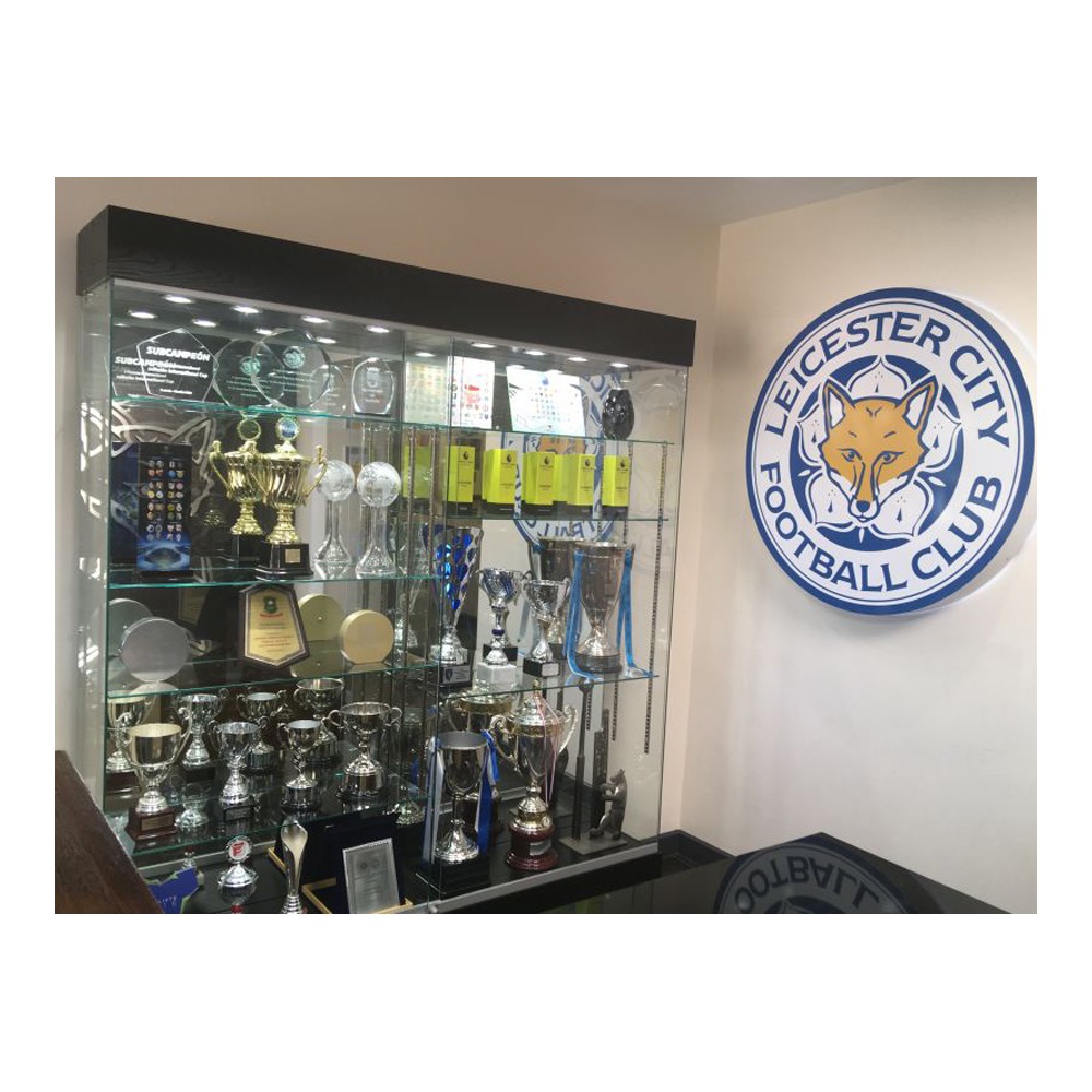 Bespoke trophy cabinet